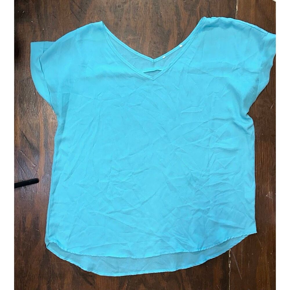 Blue Jodifl Sheer Top Size Large